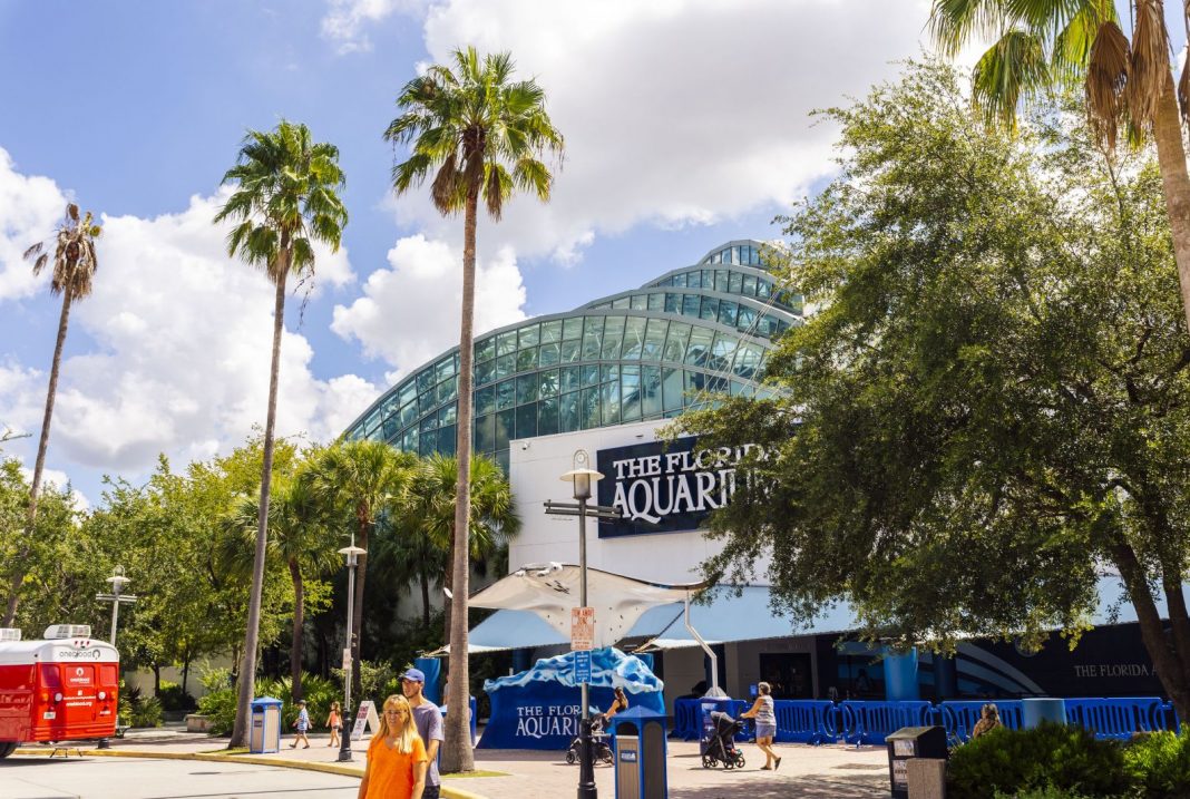 Visit Tampa Bay Introduces Riverwalk Attraction Pass TravelMole