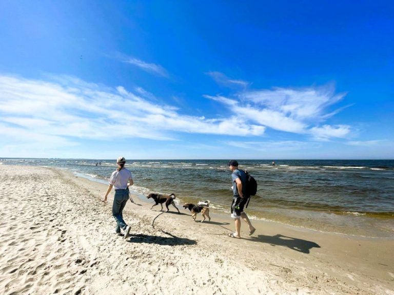 Exploring Poland with your dog