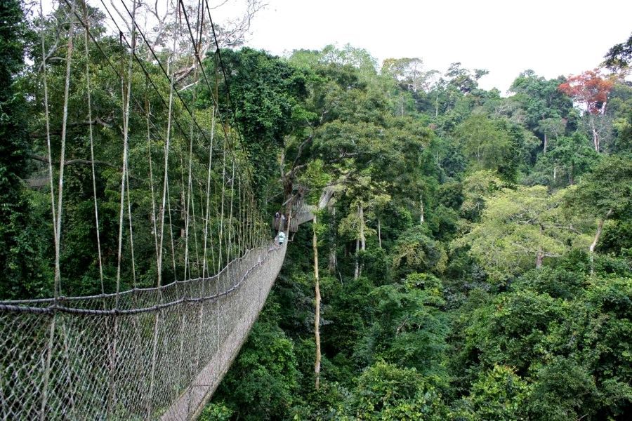 Ghana recorded a moderate increase in international tourist arrivals in 2025