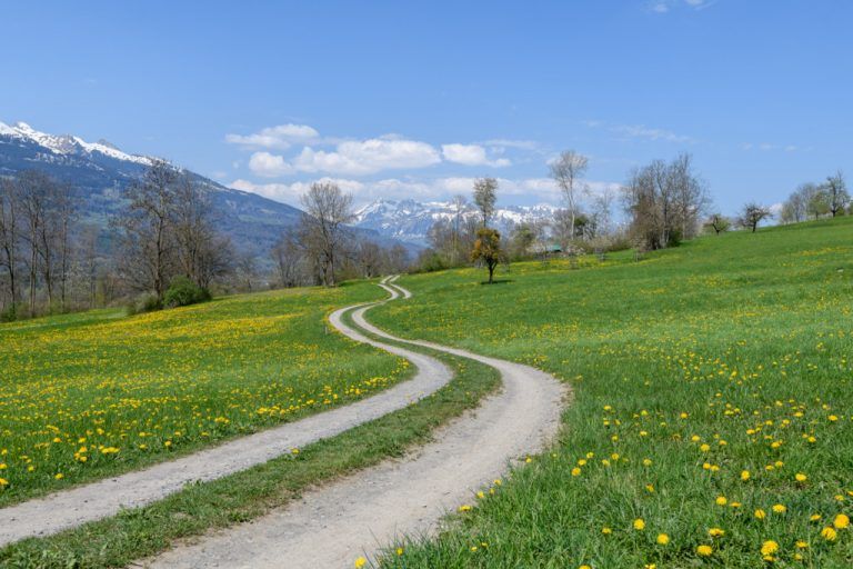 Discover Europe's micro-state Liechtenstein in a single 75-km Trail