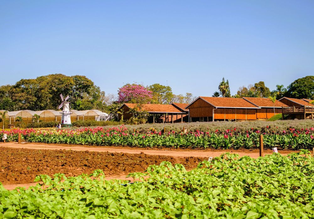 Brazil names seven contenders for UN Tourism village award