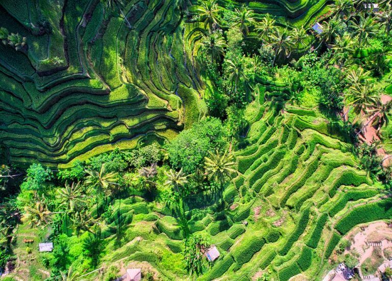 Is Bali still safe following a spike in violent crimes?
