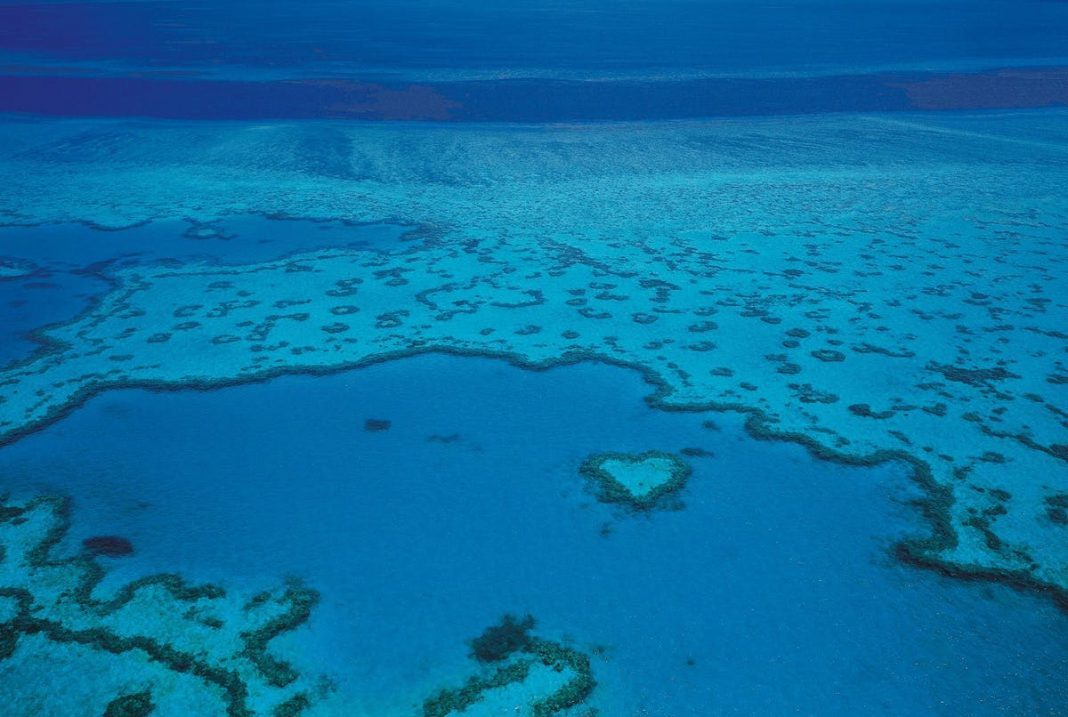 Australia’s Coral Expeditions joins Expedition Cruise Network