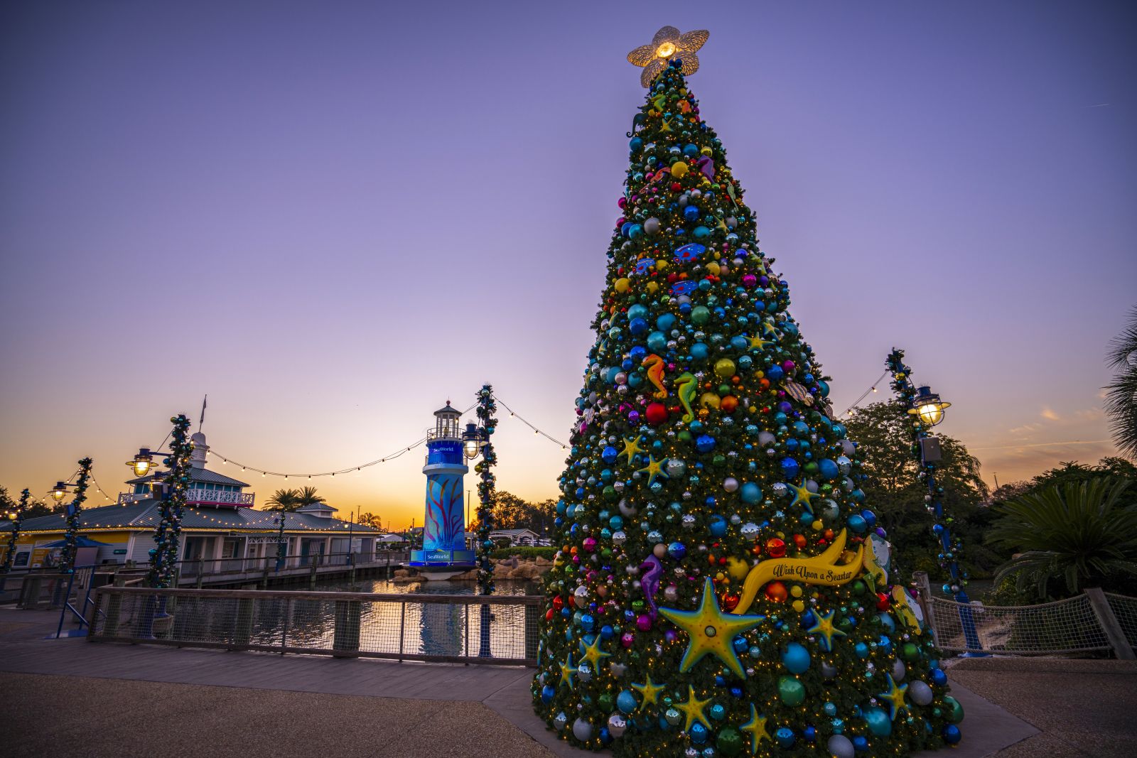 SeaWorld's Christmas Celebration schedule unveiled