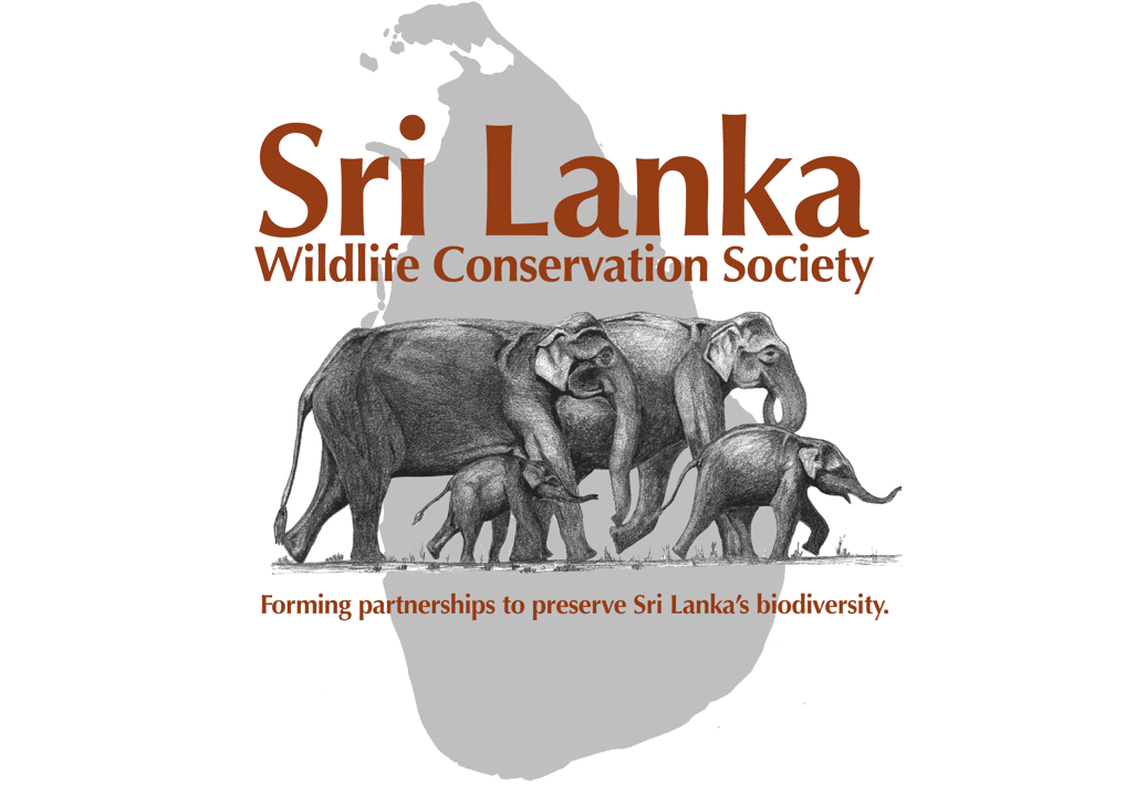 Sri Lankan Wildlife & Adventure