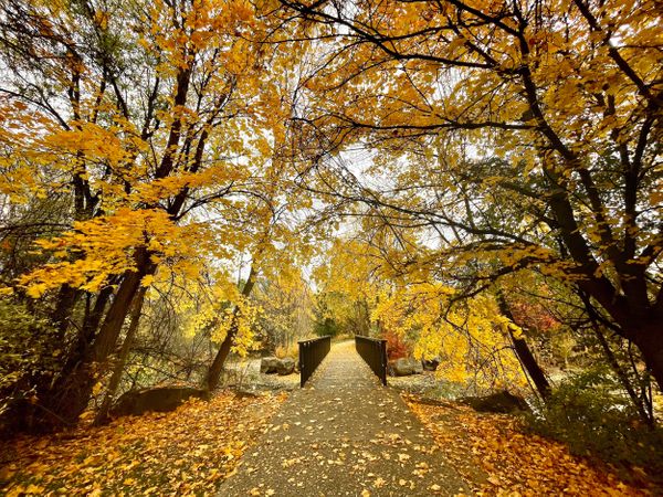 Top fall activities in Boise, Idaho