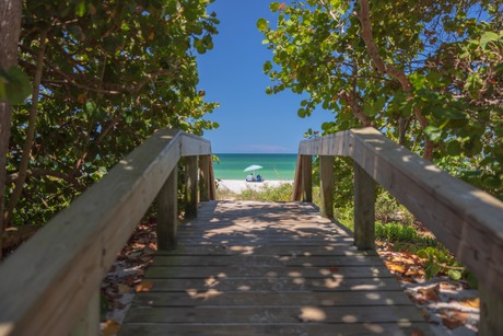 What's New in Florida's Paradise Coast